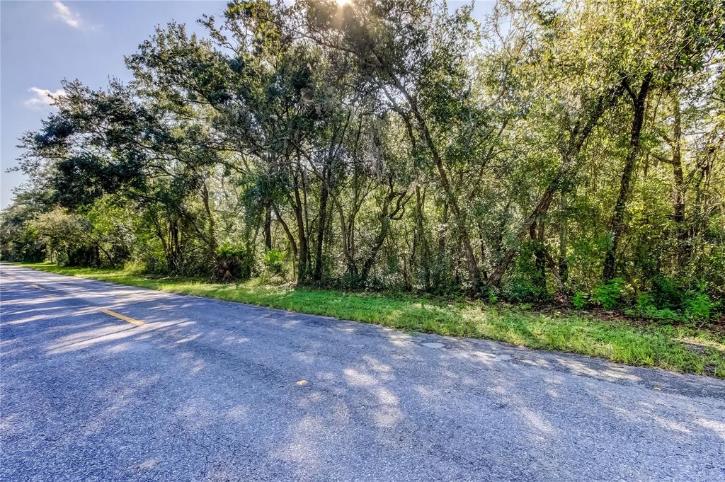 Photo of 9670 Star Trl, New Port Richey, FL 34654 (MLS # TB8430389)
