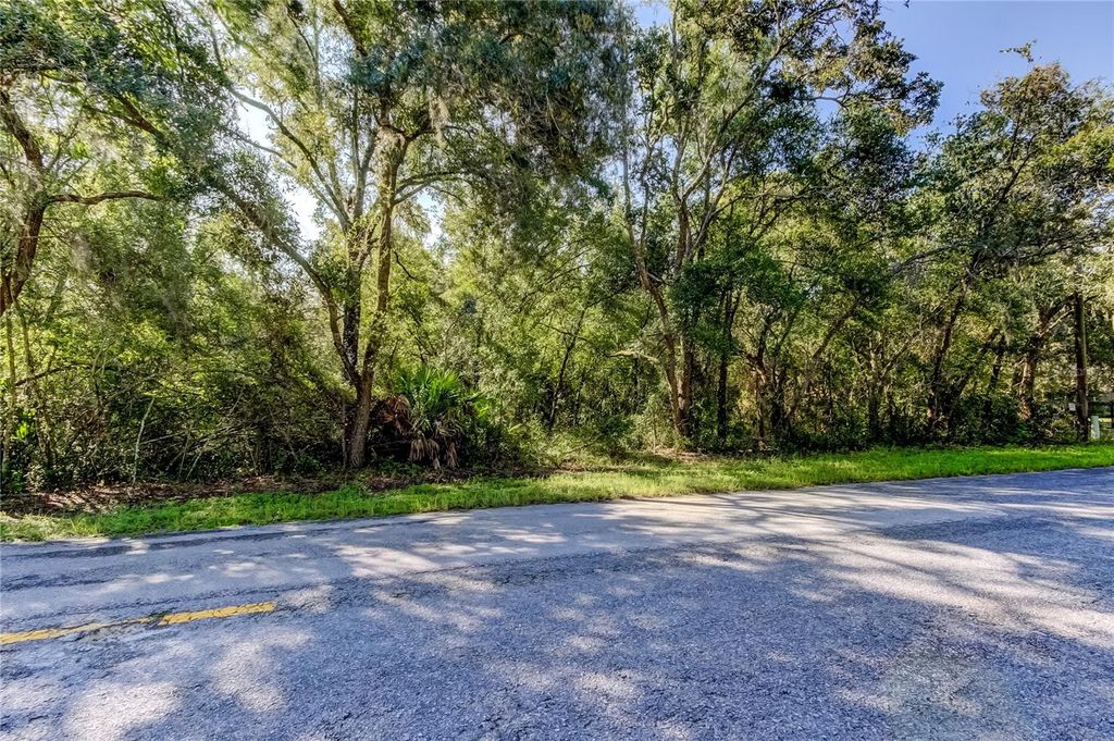 Photo of 9670 Star Trl, New Port Richey, FL 34654 (MLS # TB8430389)