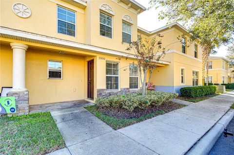 A home in ZEPHYRHILLS