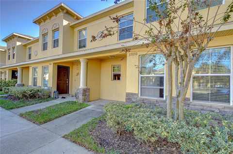 A home in ZEPHYRHILLS