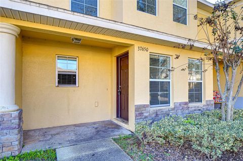 A home in ZEPHYRHILLS