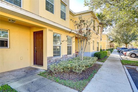 A home in ZEPHYRHILLS