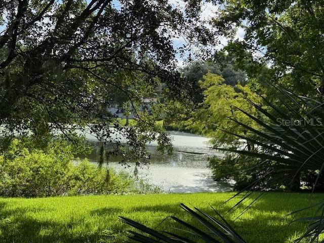 449 FORESTWOOD LANE