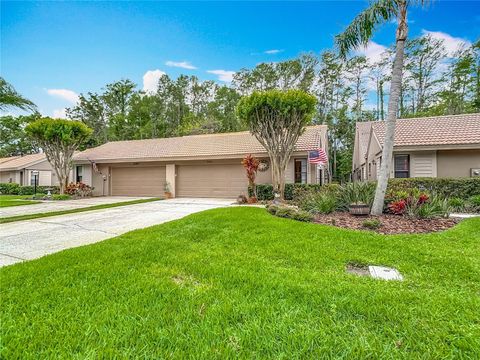 Photo of 3182 Windmoor Drive N, Palm Harbor, FL 34685 (MLS # TB8439777)