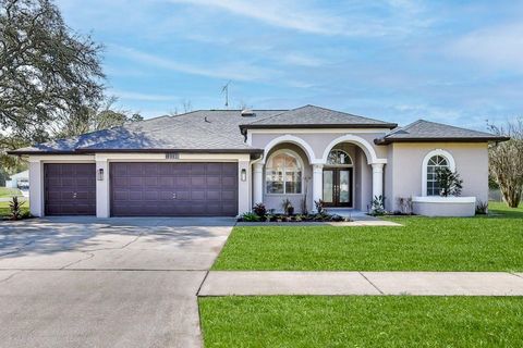 Photo of 12230 Padron Boulevard, Spring Hill, FL 34609 (MLS # A4678138)