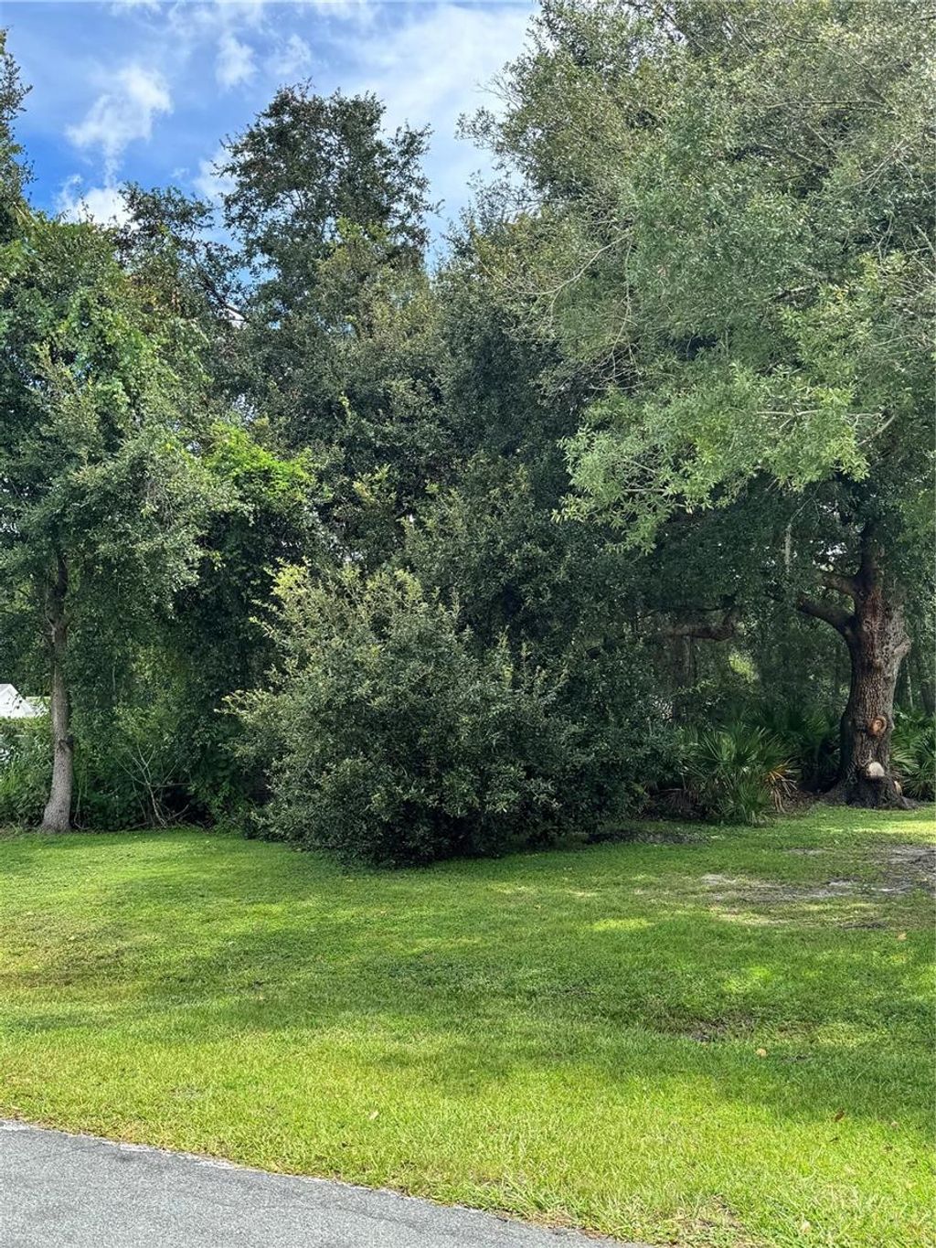 Photo of 0 Tiffany Court, Kissimmee, FL 34758 (MLS # S5138780)