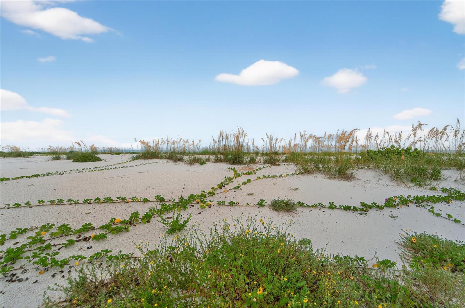 SAWYER & HARRELLS ADD - Land