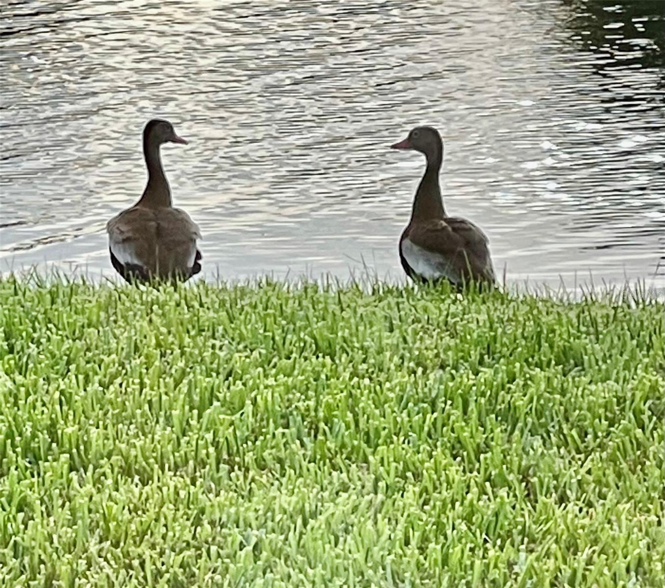 ARTISAN LAKES ESPLANADE PH III SP A-E - Residential