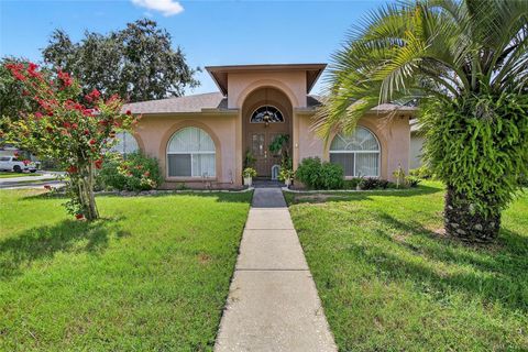 2015 THORNBUSH PLACE BRANDON FL 33511