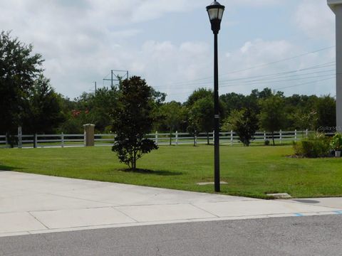 A home in RIVERVIEW