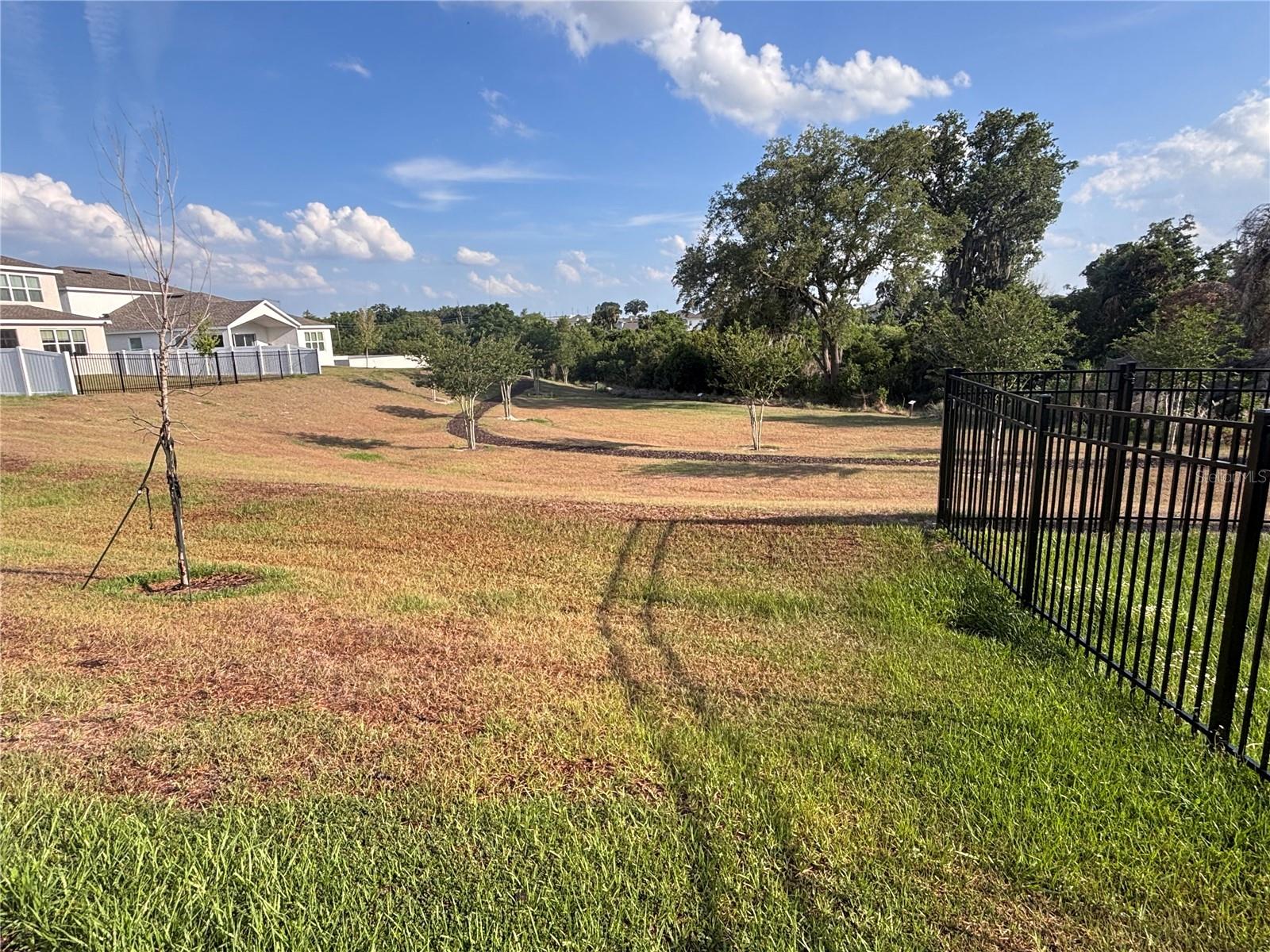IVY TRAILS - Residential
