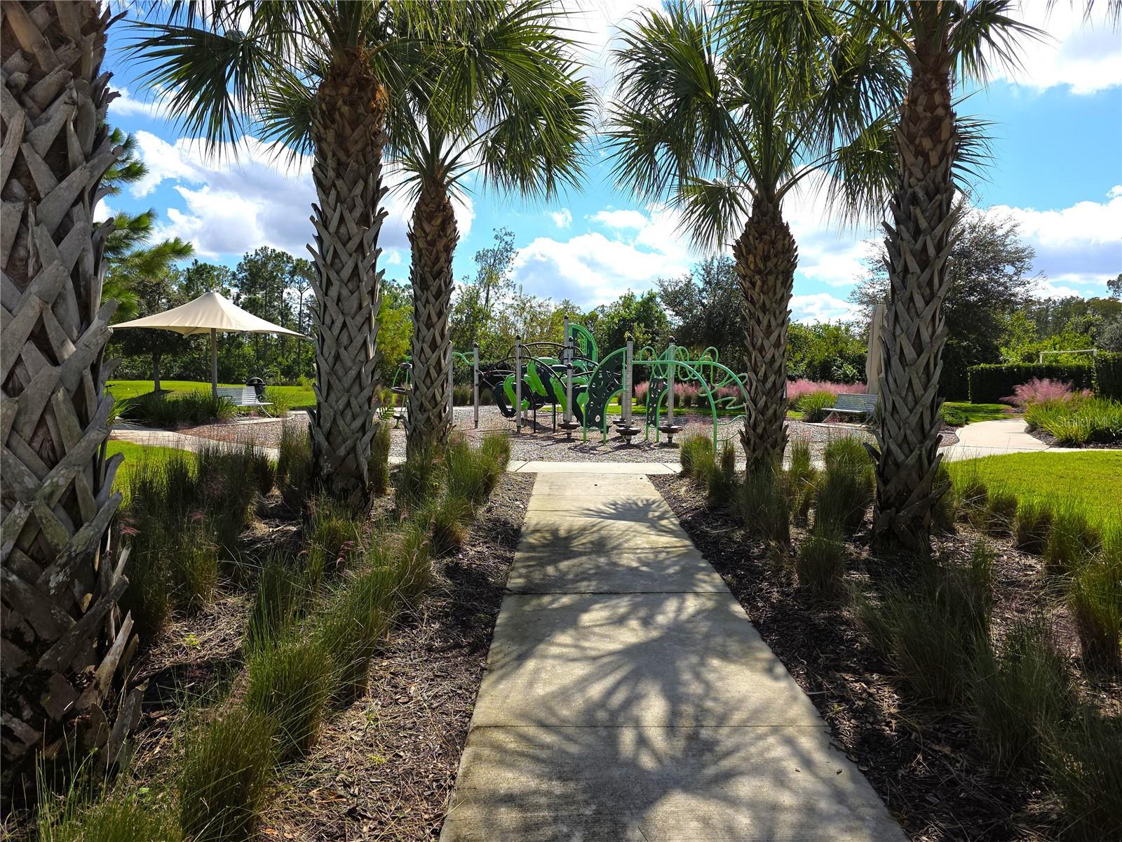 SERENOA VILLAGE 1 PH 1A-2 - Residential