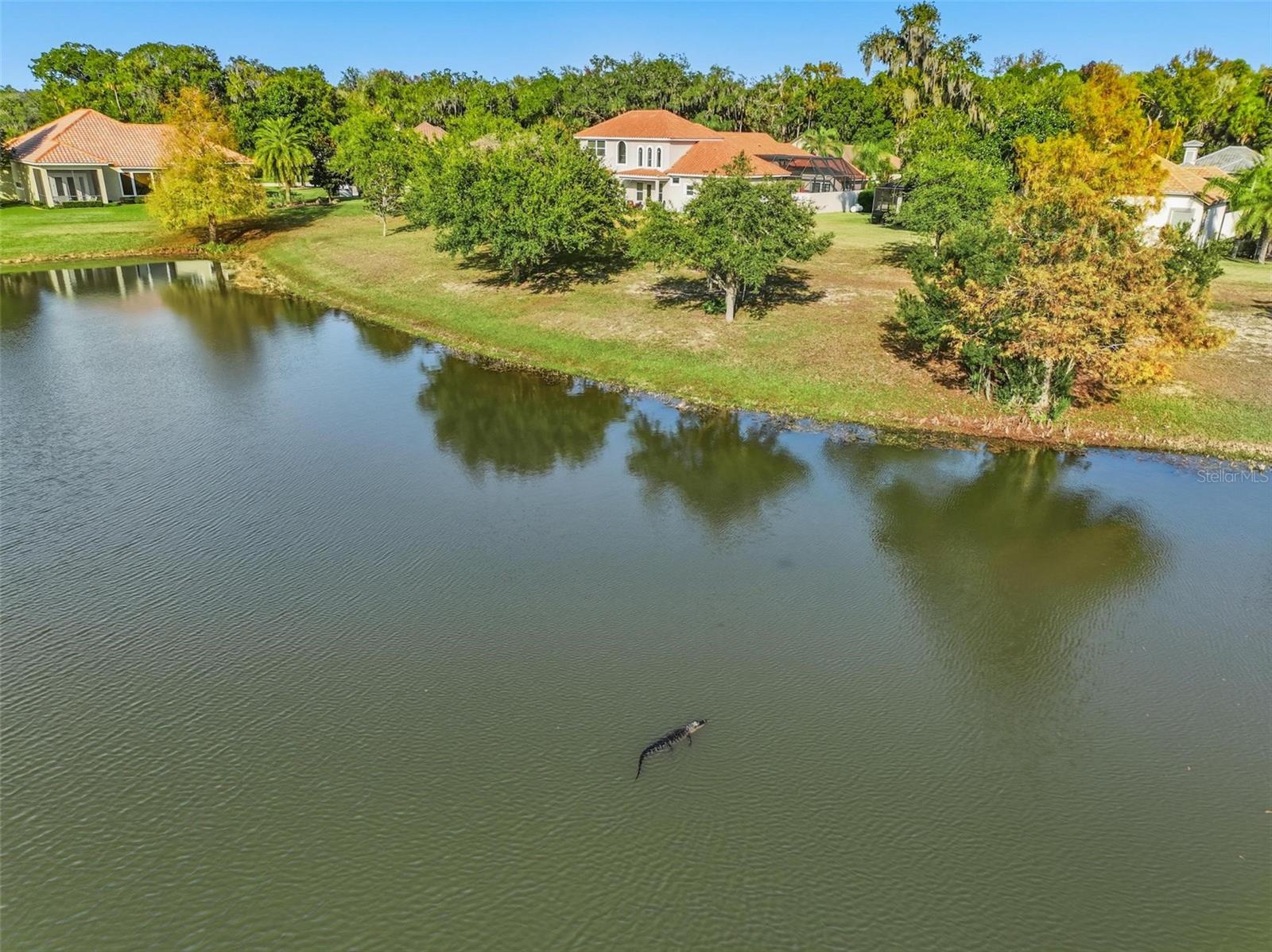 HIDDEN LAKES PH II - Residential