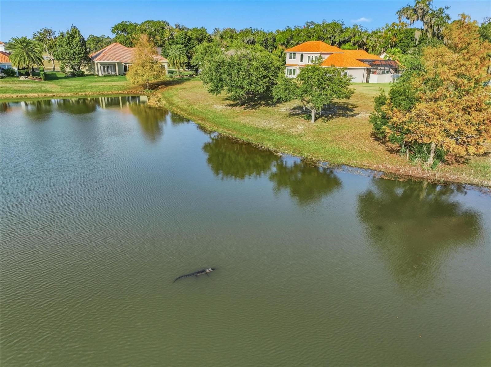 HIDDEN LAKES PH II - Residential