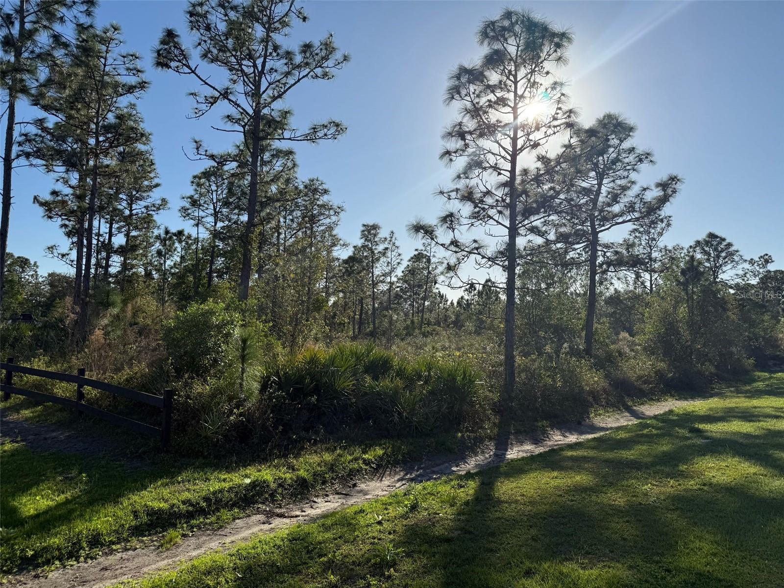 CAPE ORLANDO ESTATES - Land