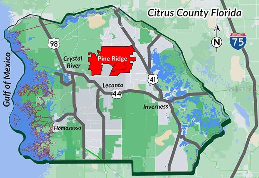 Photo of 4379 N Baywood Drive, Beverly Hills, FL 34465 (MLS # TB8457124)