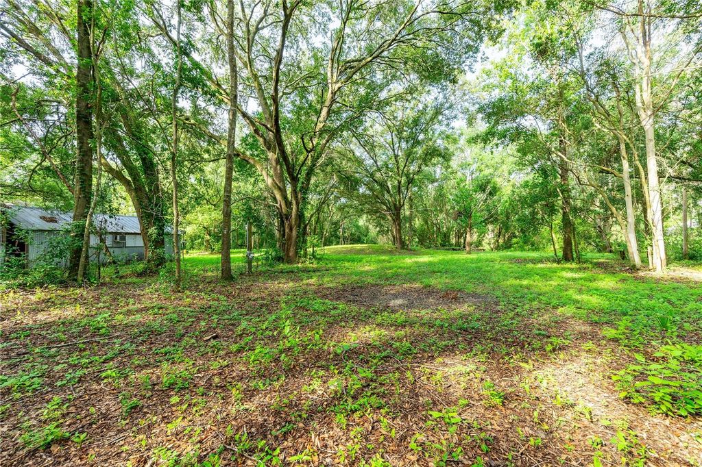 Photo of 28616 Tupper Road, Wesley Chapel, FL 33545 (MLS # TB8418606)