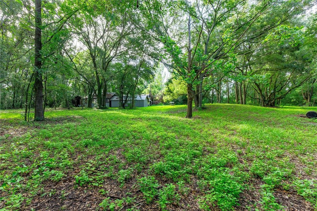 Photo of 28616 Tupper Road, Wesley Chapel, FL 33545 (MLS # TB8418606)