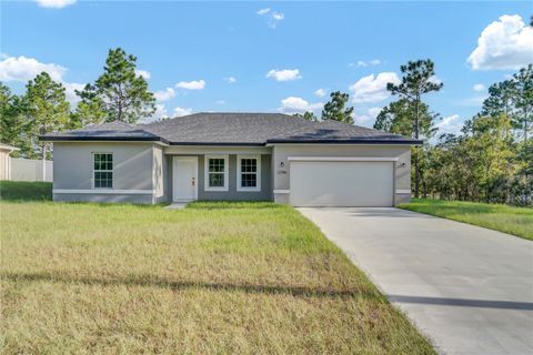 Photo of 2798 W Parnell Lane, Citrus Springs, FL 34433 (MLS # O6329787)