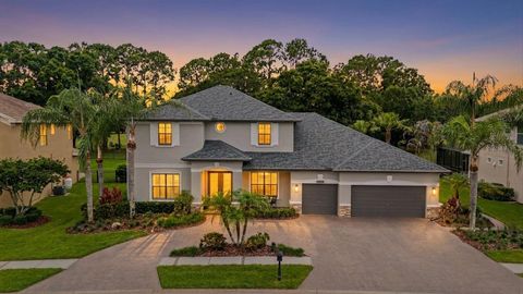Photo of 12422 Eagles Entry Drive, Odessa, FL 33556 (MLS # TB8514722)