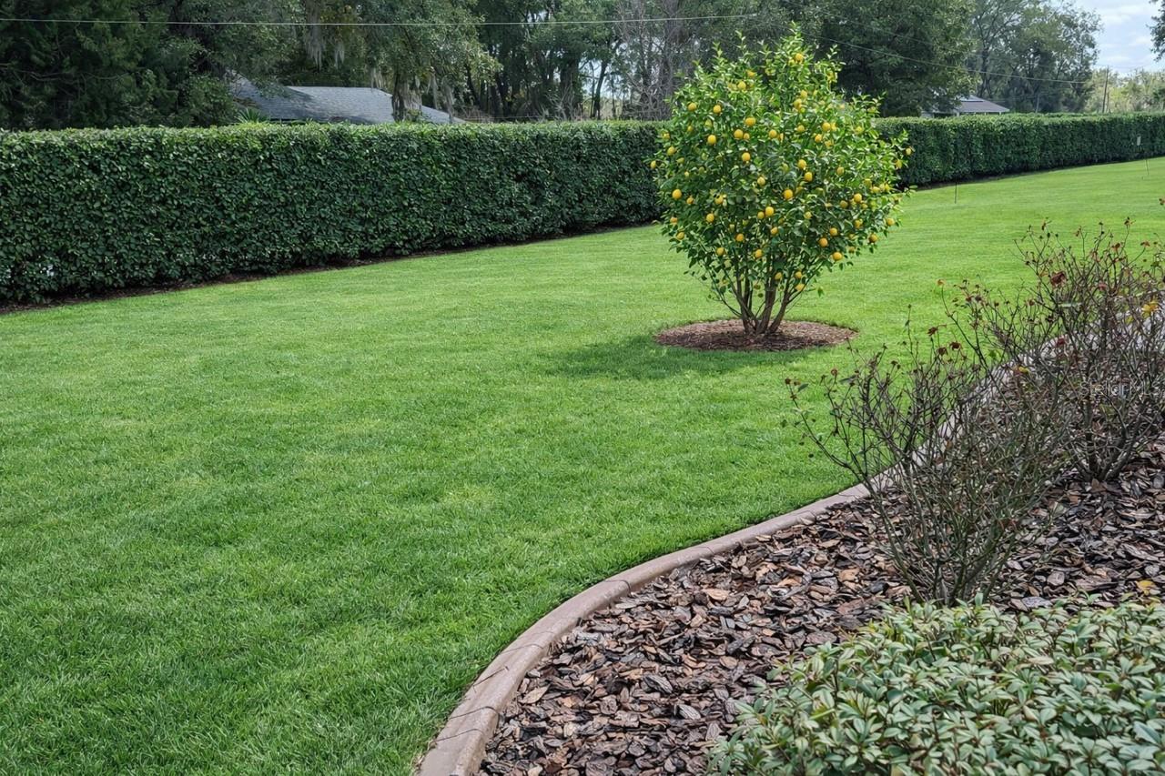 INDIGO EAST - Residential