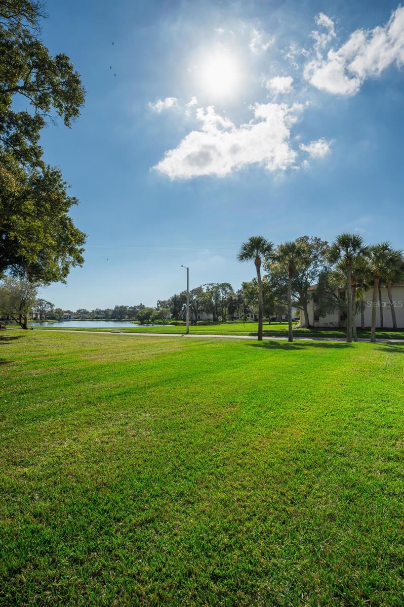 EAST LAKE WOODLANDS CONDO - Residential