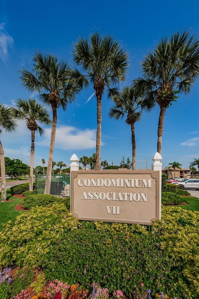 EAST LAKE WOODLANDS CONDO - Residential