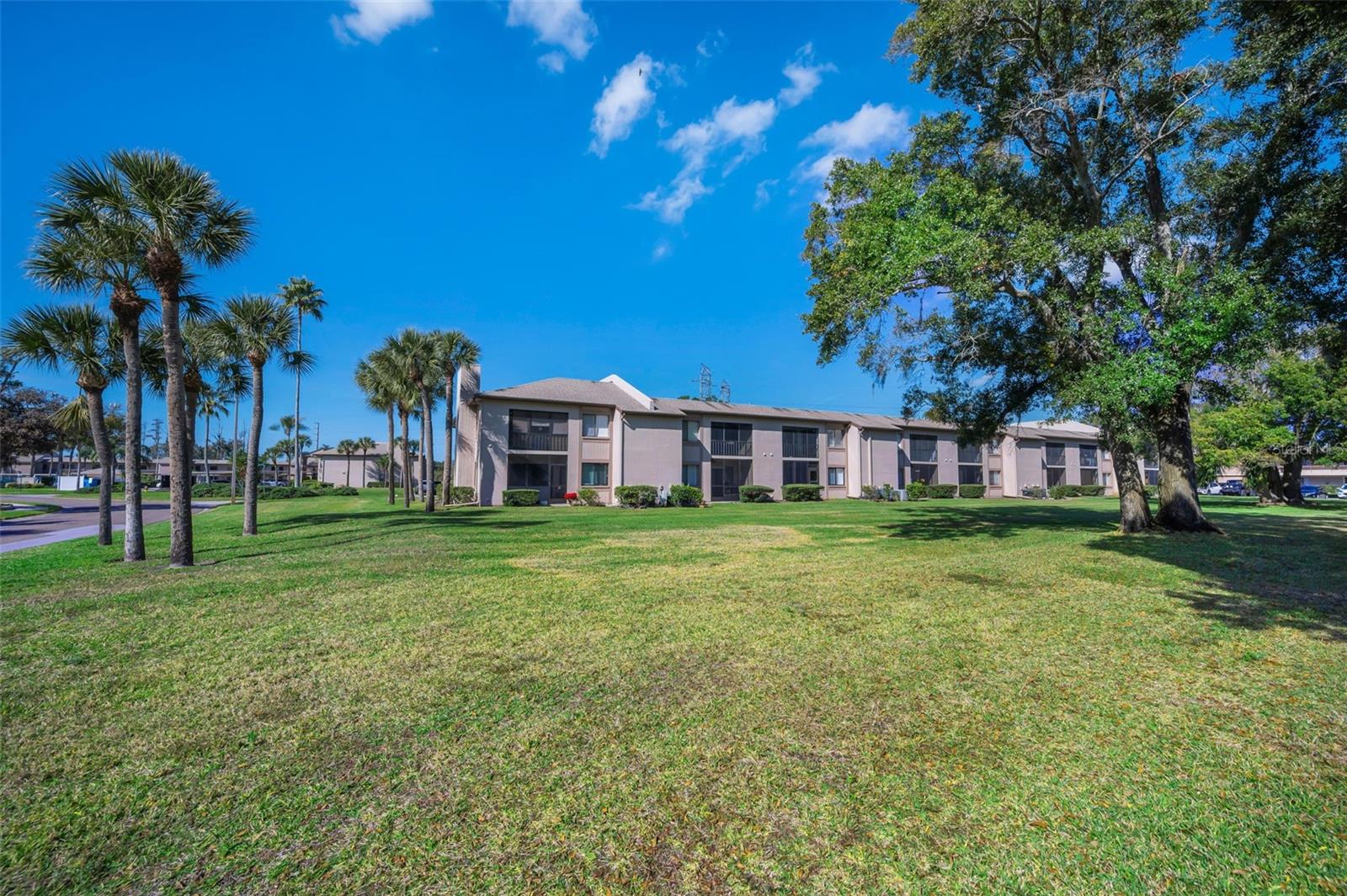 EAST LAKE WOODLANDS CONDO - Residential