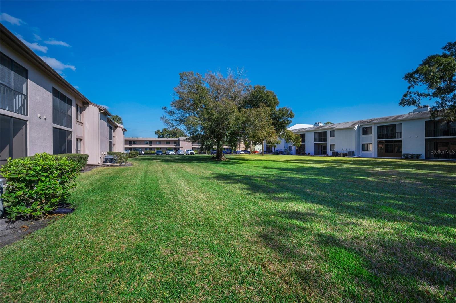 EAST LAKE WOODLANDS CONDO - Residential