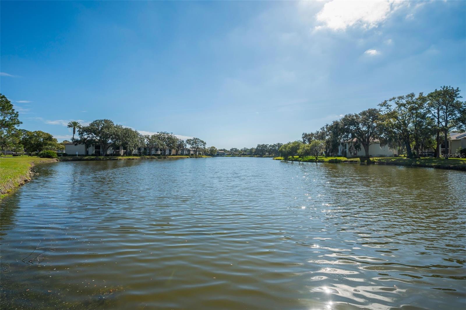 EAST LAKE WOODLANDS CONDO - Residential