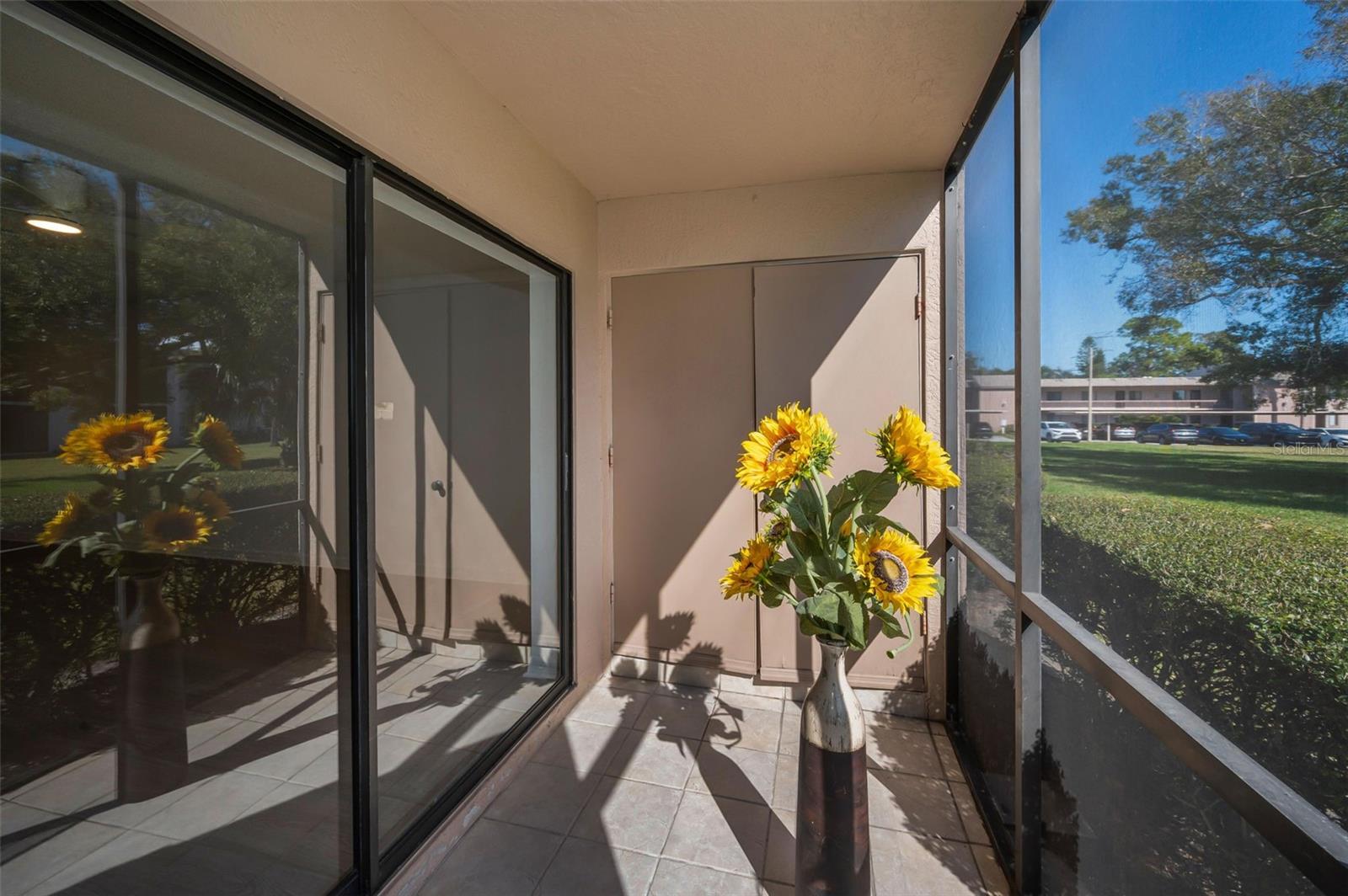 EAST LAKE WOODLANDS CONDO - Residential