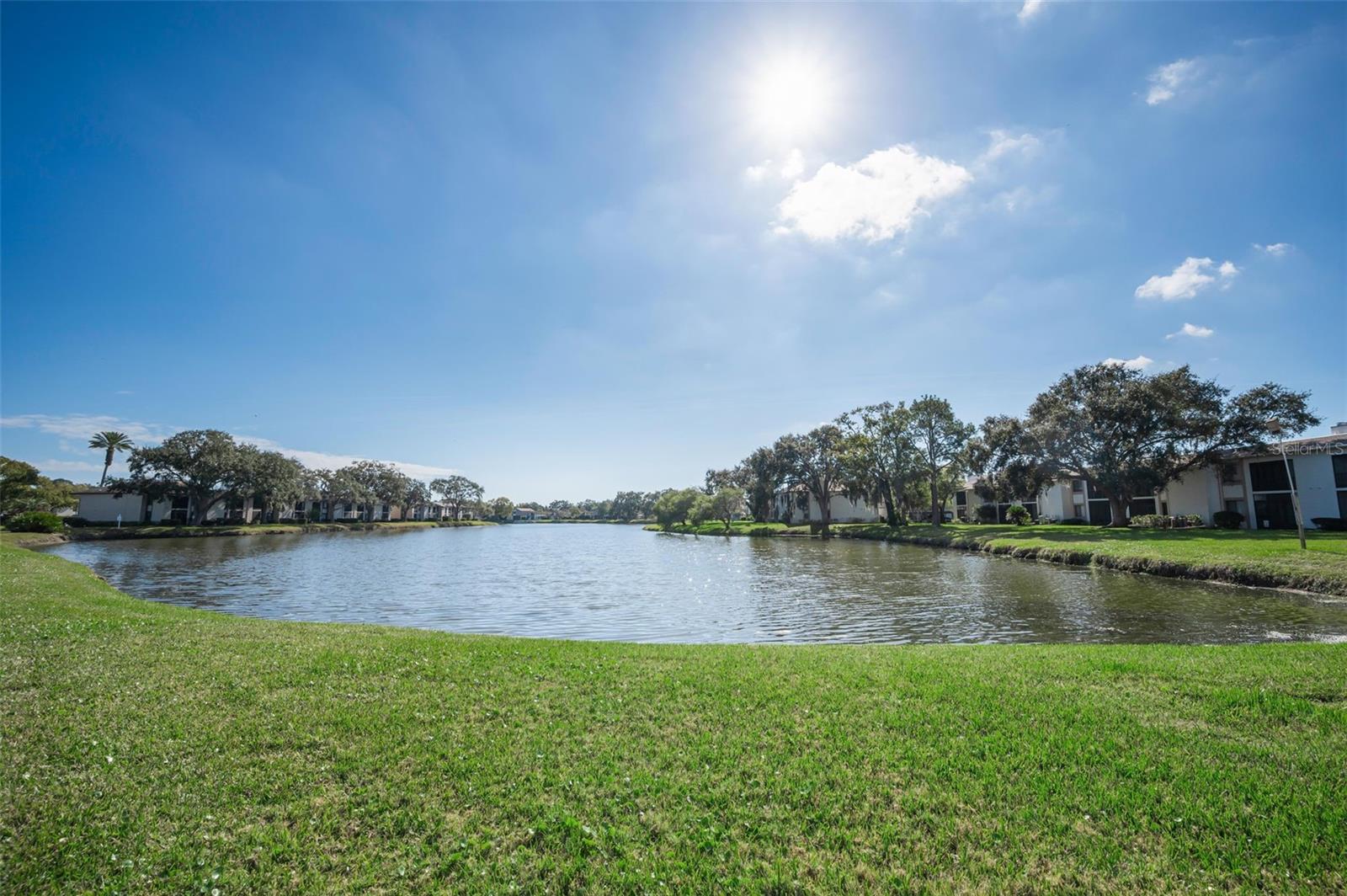 EAST LAKE WOODLANDS CONDO - Residential