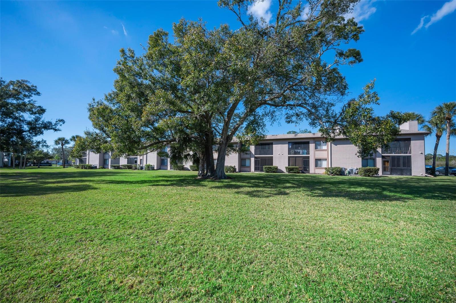 EAST LAKE WOODLANDS CONDO - Residential