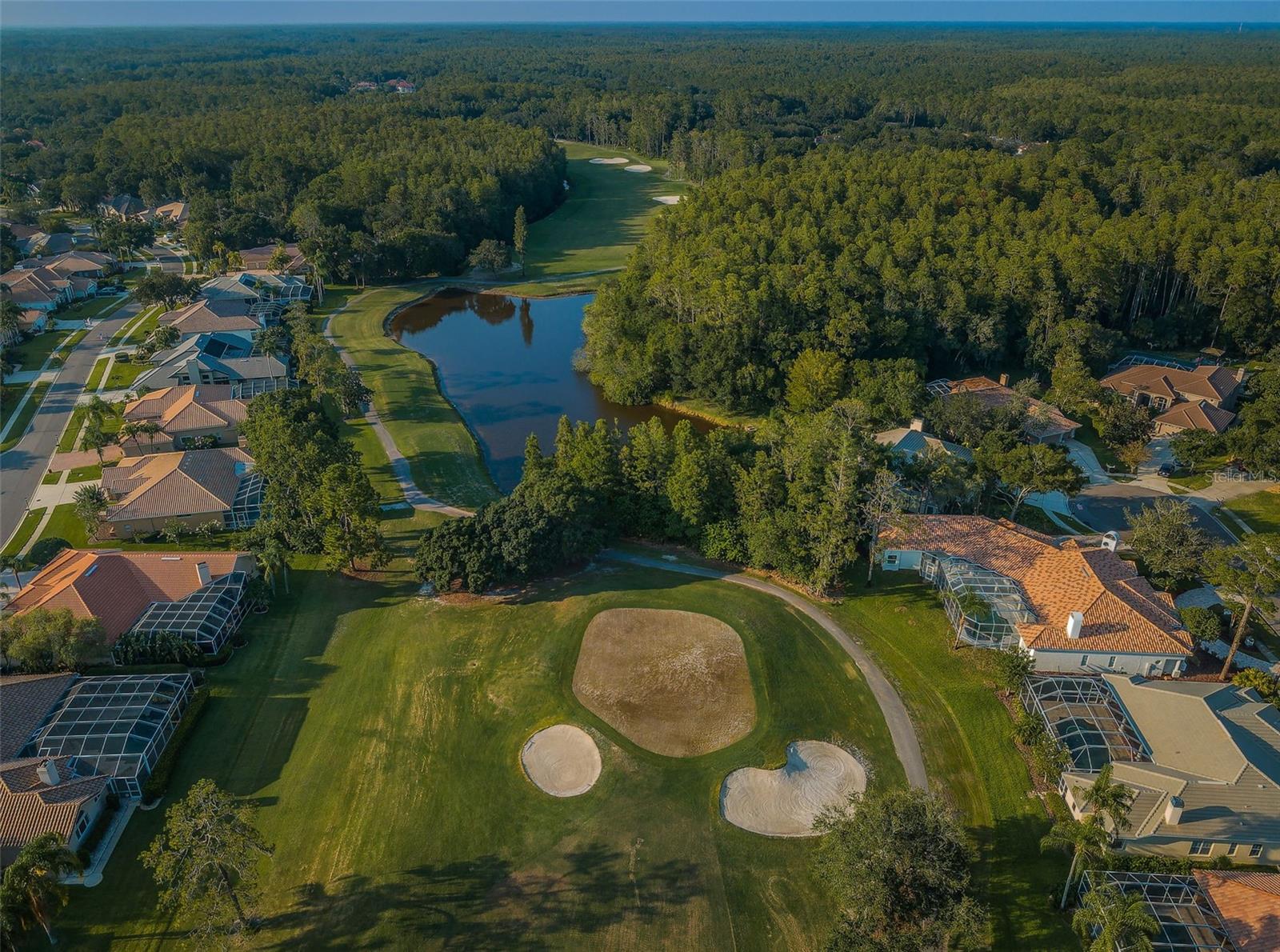 EAST LAKE WOODLANDS CONDO - Residential