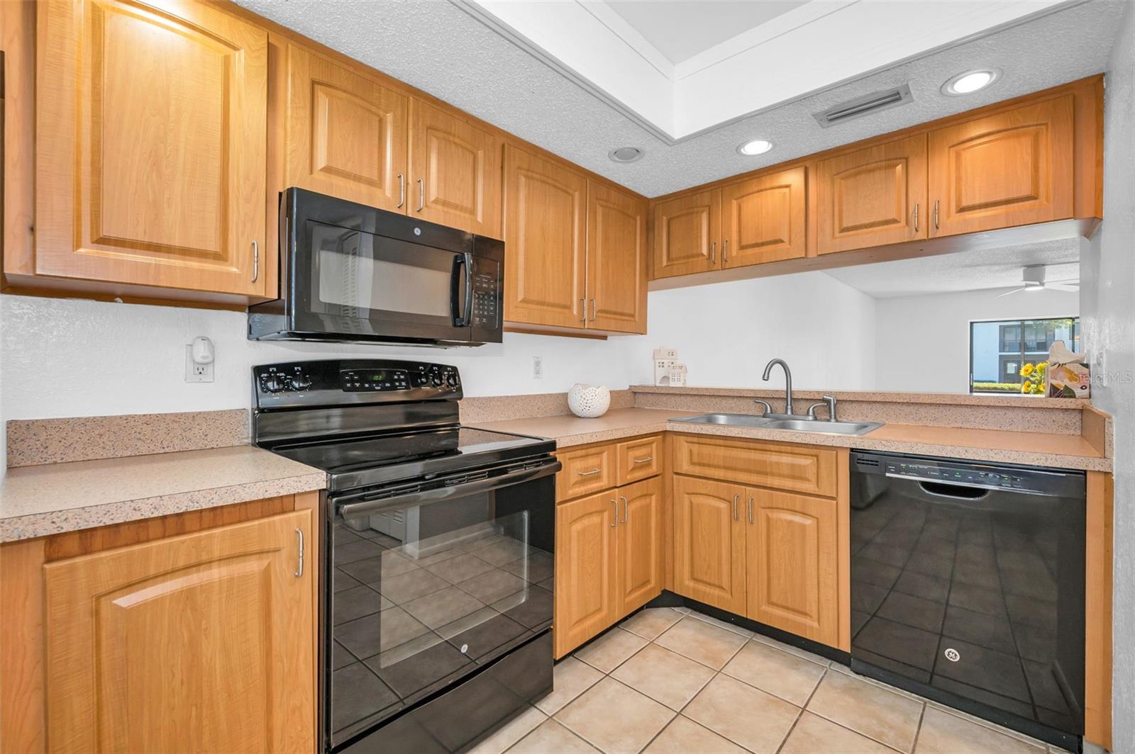 EAST LAKE WOODLANDS CONDO - Residential