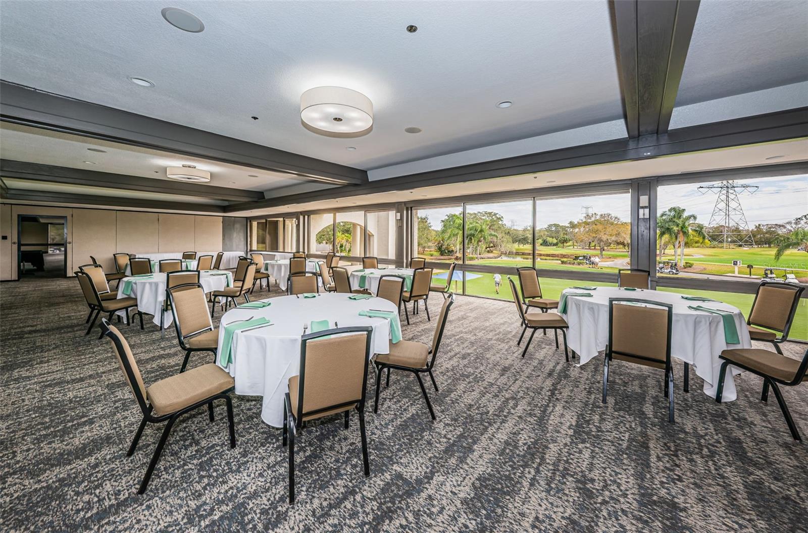 EAST LAKE WOODLANDS CONDO - Residential