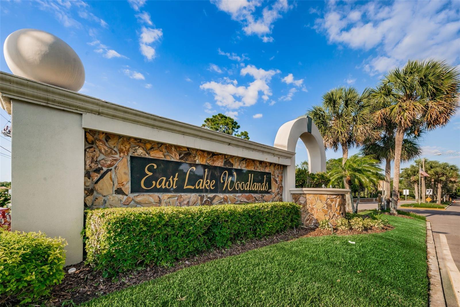 EAST LAKE WOODLANDS CONDO - Residential