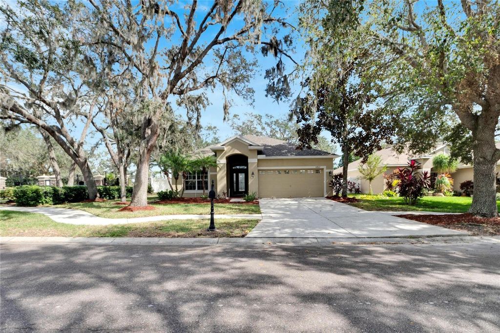 Photo of 10802 Moss Island Drive, Riverview, FL 33569 (MLS # TB8316364)