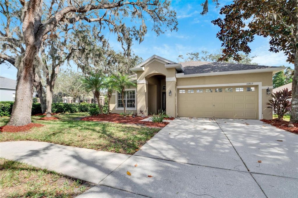 Photo of 10802 Moss Island Drive, Riverview, FL 33569 (MLS # TB8316364)