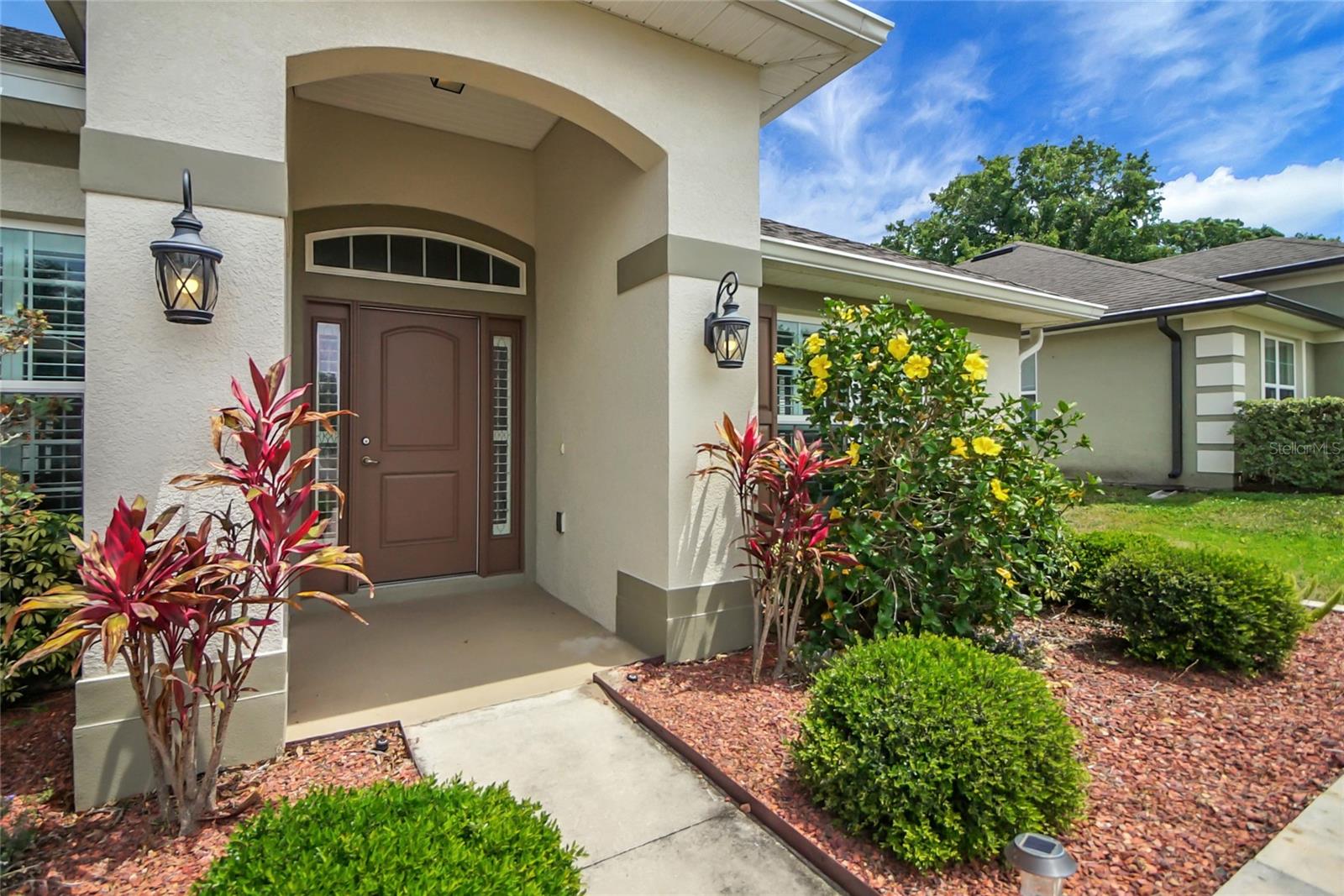 2152 ANGEL FISH LOOP