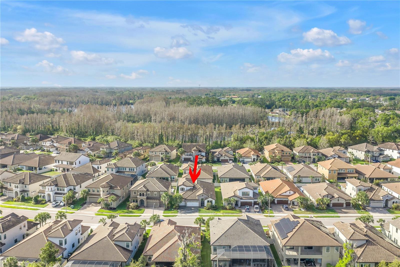 PRISTINE LAKE PRESERVE - Residential