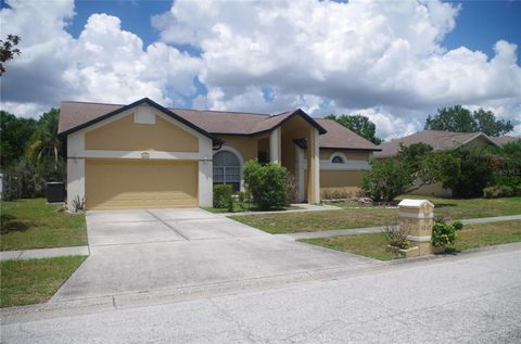 Photo of 4207 Elba Place, Valrico, FL 33596 (MLS # TB8512581)
