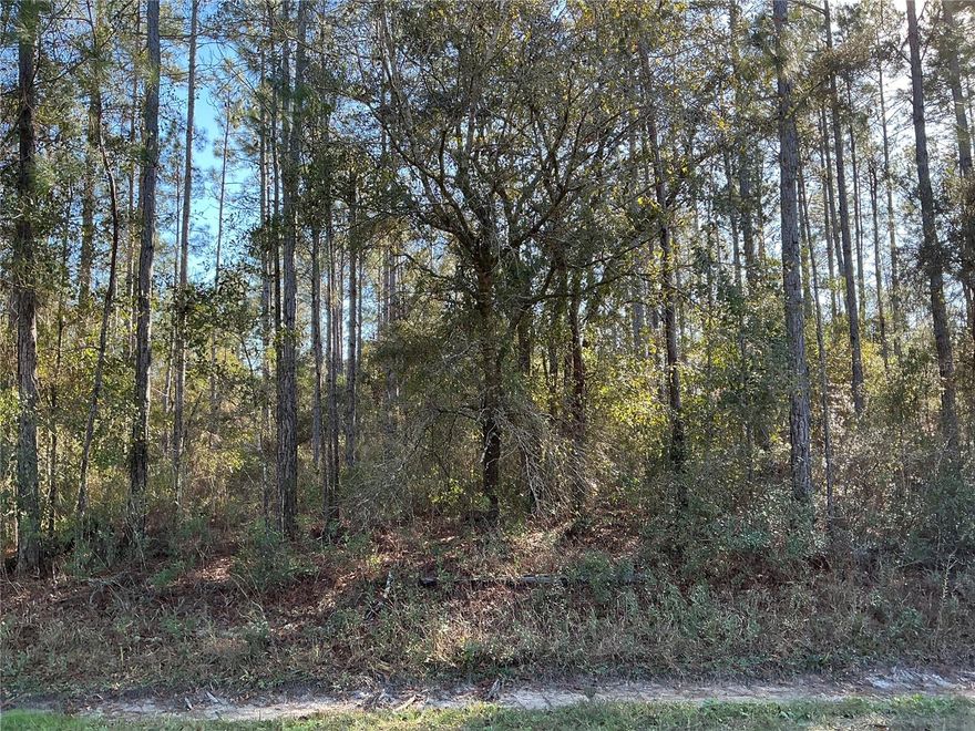 Situated in the heart of Hastings with no wetlands or protected species on site, this acre lot measures 163ft x 230ft. Located outside the flood zone, this lot is shovel-ready and primed for development. Unique opportunity to own a piece of historic Hastings, Florida cherished for its rich agricultural heritage and small-town charm. Located in the heart of St. Johns County, this vacant lot offers peaceful, rural living with convenient access to nearby cities like St. Augustine (~18 miles) and Palatka, as well as recreational attractions including the St. Johns River and scenic trails. Surrounded by open farmland and classic Florida countryside, the lot is ideal for building your dream home. Don’t miss this chance to build in a location with a storied past, tranquil setting, and future potential. A rare find in a community known for its heritage, outdoor lifestyle, and proximity to both river and coast.