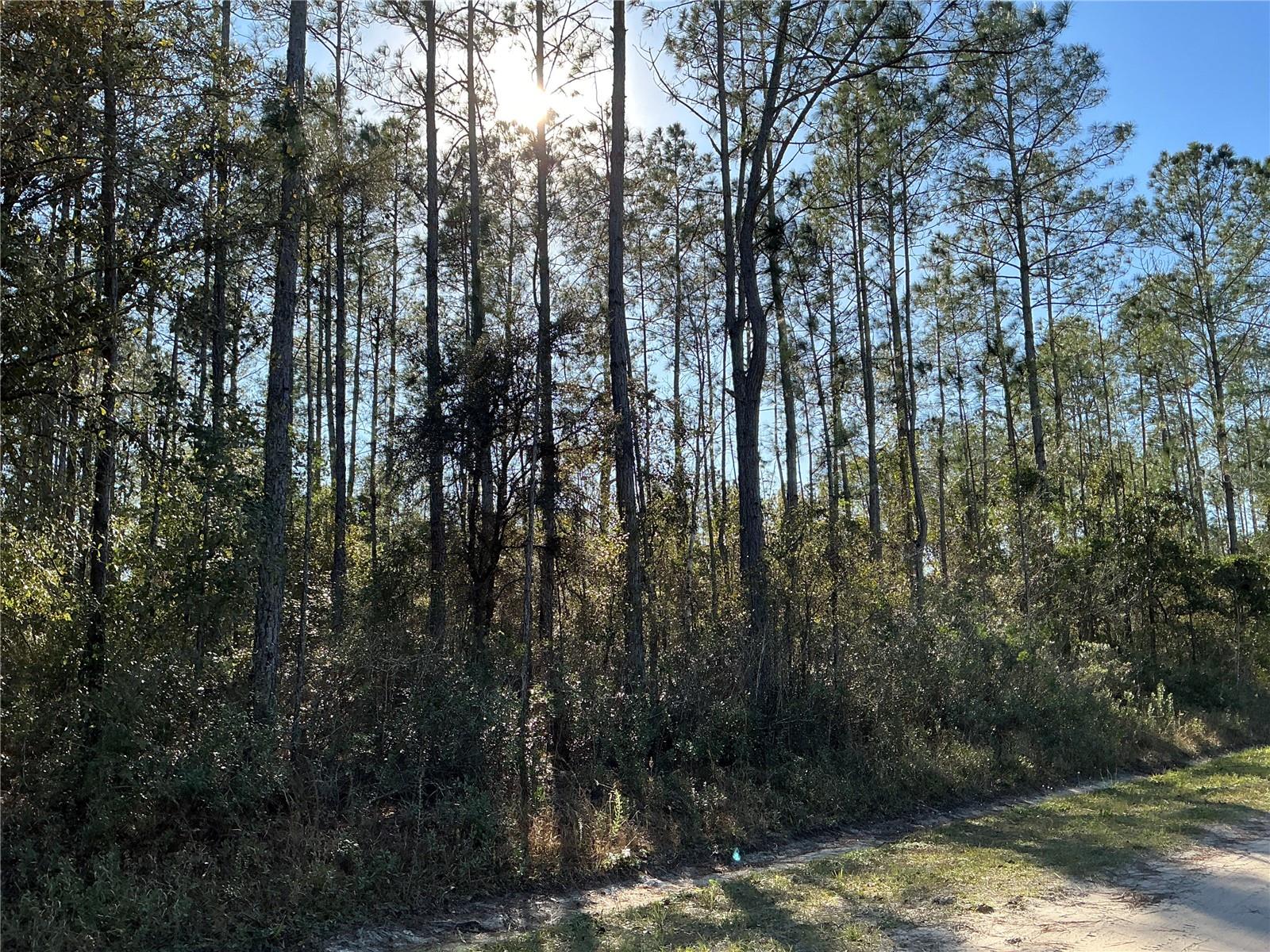 4345 BENEDICT STREET