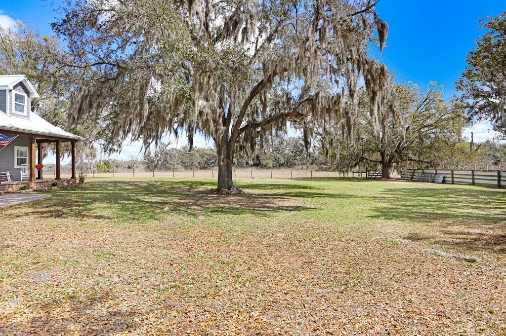 ACREAGE - Residential