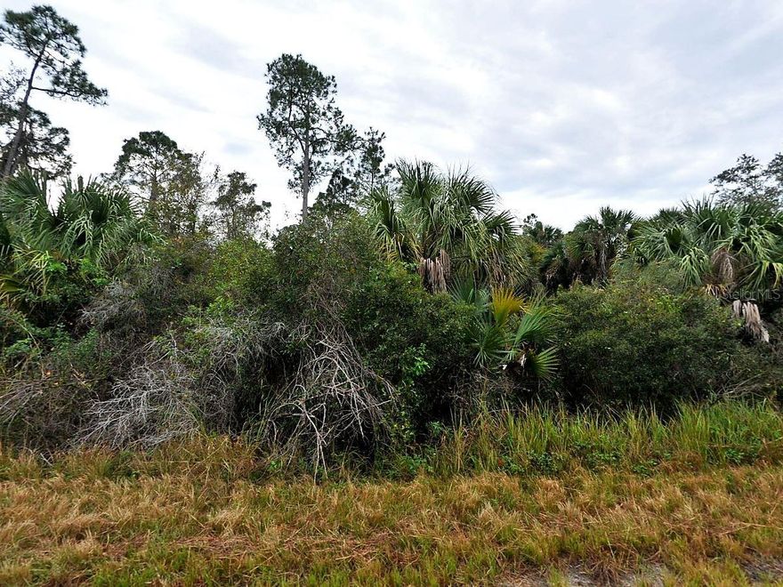 Opportunity to own an infill development lot. Streets are in place.. Prime Sarasota County, close to the coast and all things one would want. Build a beautiful home and enjoy sunny Florida.