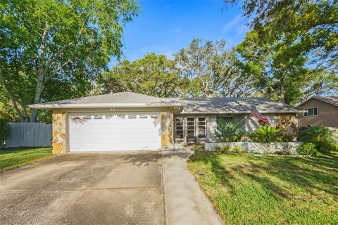 14 IDLEWILDE DRIVE SAFETY HARBOR FL 34695
