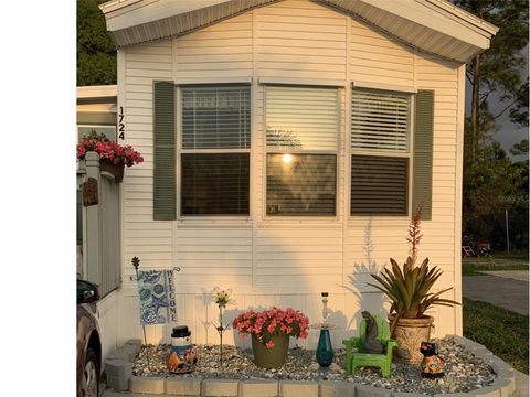 A home in PUNTA GORDA