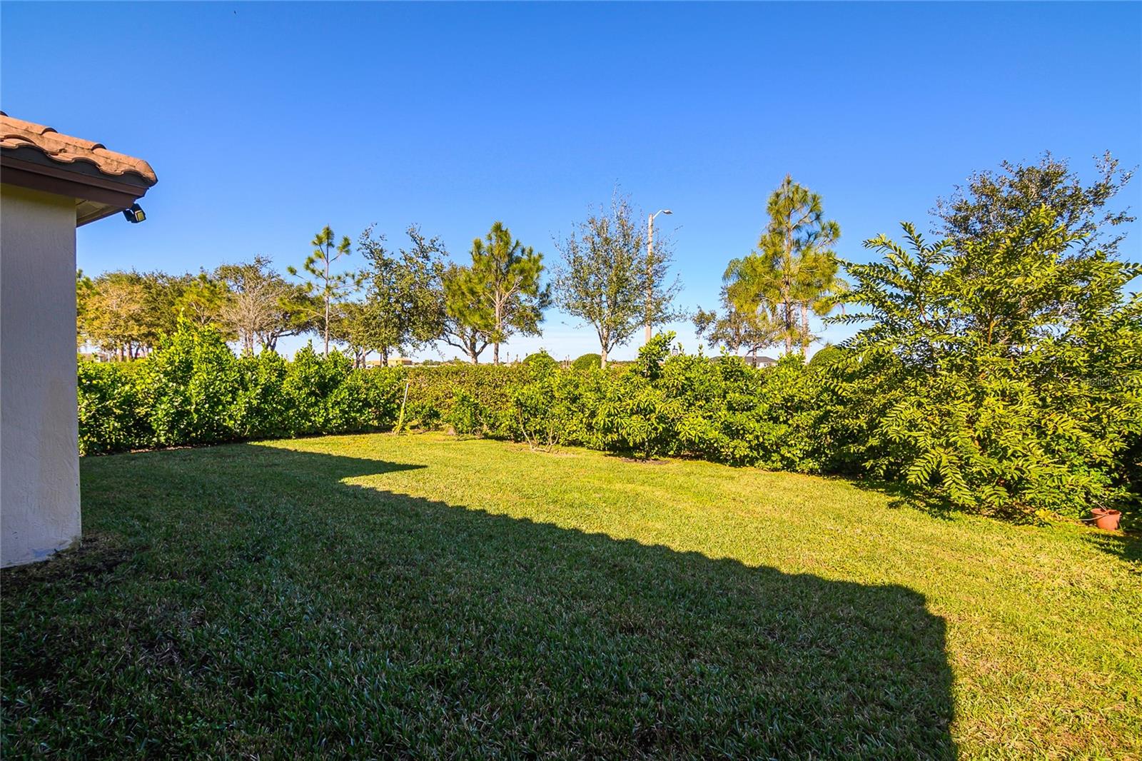 MAPLE RIDGE AT AVE MARIA PH - Residential
