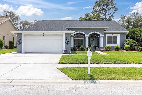 13524 KNOTTY LANE HUDSON FL 34669